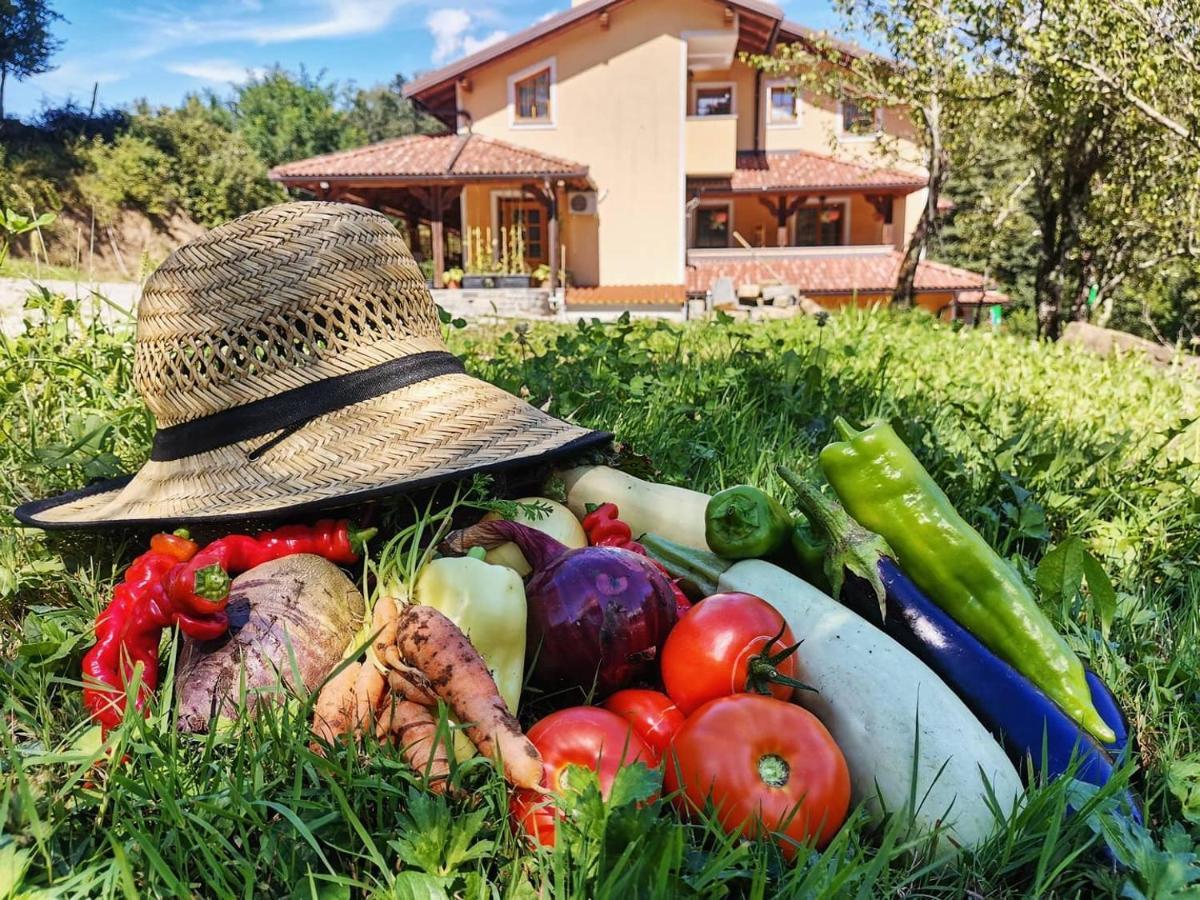 Farm Stay Peternelj إليرسكا بسترتشا المظهر الخارجي الصورة