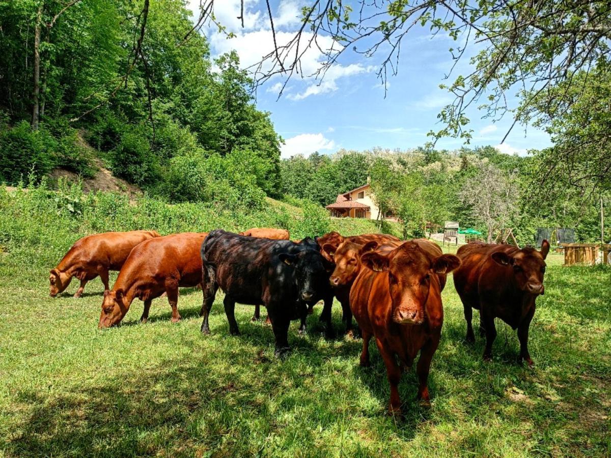 Farm Stay Peternelj إليرسكا بسترتشا المظهر الخارجي الصورة